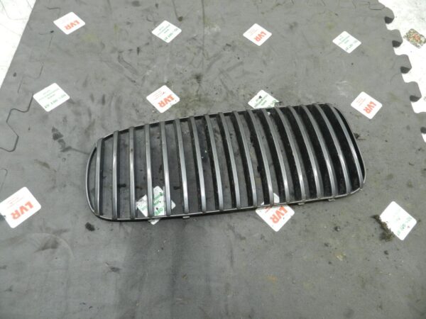 134. 1997-2002 JAGUAR XJ8. FRONT GRILLE