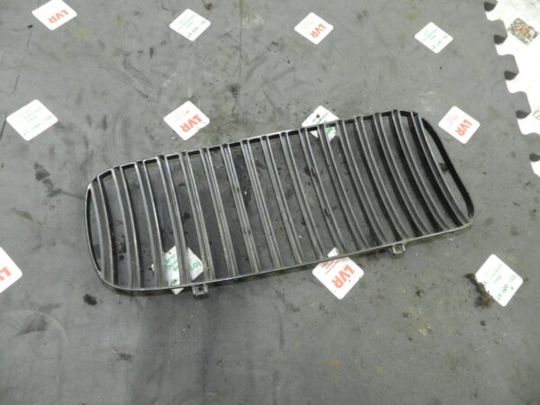 134. 1997-2002 JAGUAR XJ8. FRONT GRILLE - Image 2