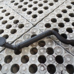 Landrover Discovery TD5 2.5 Breather Pipe Crankcase Ventilation