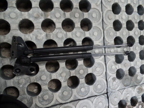 Citroen DS3 2015/16 1.2T Boot / Tailgate Rear Gas Struts (Pair)